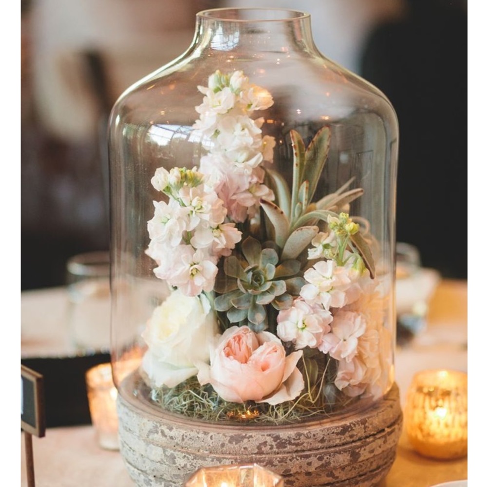 Cement base terrarium with removable glass